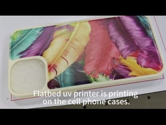 AC220V 50HZ Ticari Baskı Ekipmanı Güçlü Dijital UV Düz yataklı yazıcı