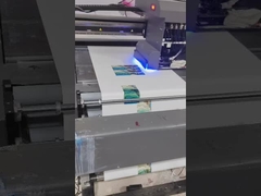 Güçlü Endüstriyel Baskı Makinesi Üreticileri Gri ölçekli UV yazıcı