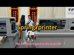 Çok fonksiyonlu 1300kg Rich G5/G6 LED Işık UV yazıcısı ile nozel