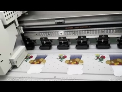 DTF tişört yazıcısı 4sqm/h Hız Modu ve İsteğe bağlı Fotoprint Rip Yazılımı ile